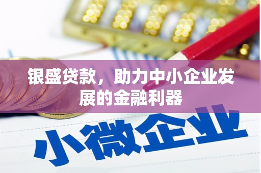 盐津银盛贷款，助力中小企业发展的金融利器