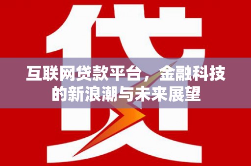 盐津互联网贷款平台，金融科技的新浪潮与未来展望