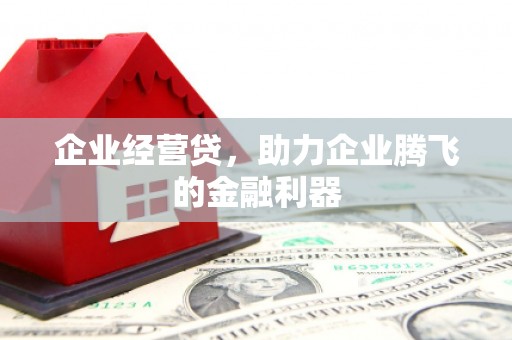 盐津企业经营贷，助力企业腾飞的金融利器