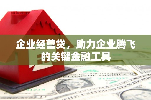 盐津企业经营贷，助力企业腾飞的关键金融工具