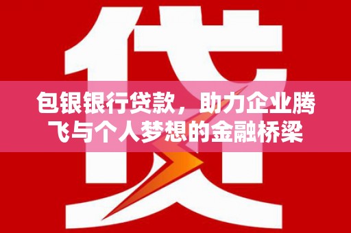 盐津包银银行贷款，助力企业腾飞与个人梦想的金融桥梁