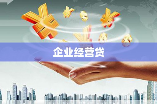 盐津企业经营贷