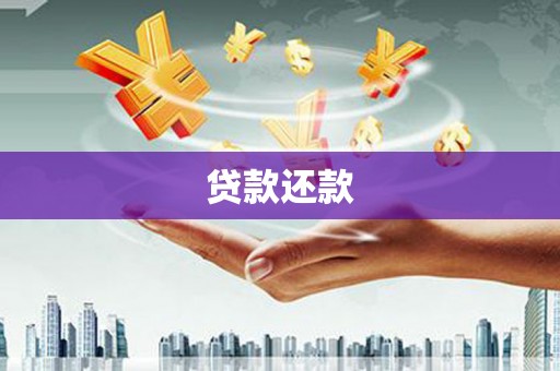 盐津贷款还款