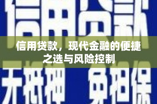 盐津信用贷款，现代金融的便捷之选与风险控制