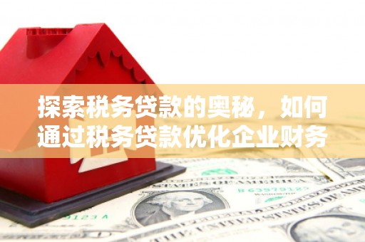 盐津探索税务贷款的奥秘，如何通过税务贷款优化企业财务