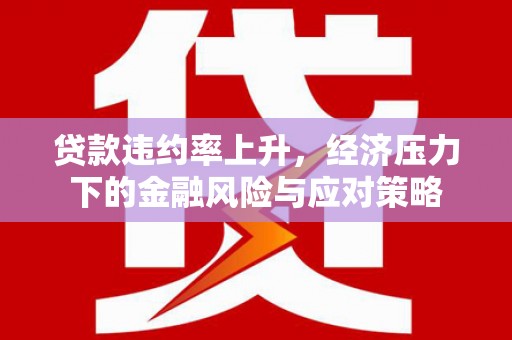 盐津贷款违约率上升，经济压力下的金融风险与应对策略