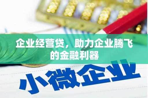 盐津企业经营贷，助力企业腾飞的金融利器