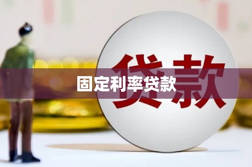 盐津固定利率贷款