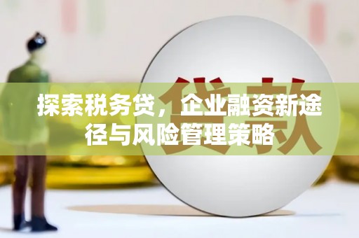 盐津探索税务贷，企业融资新途径与风险管理策略