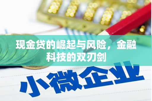 盐津现金贷的崛起与风险，金融科技的双刃剑