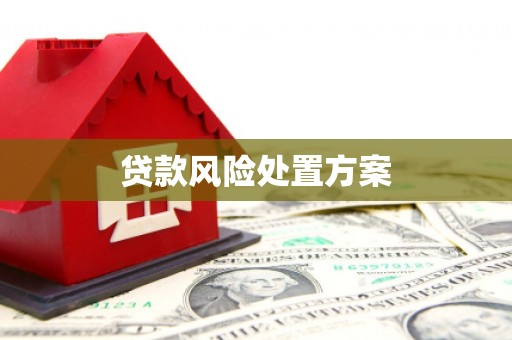 盐津贷款风险处置方案