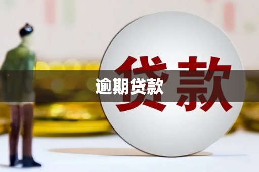 盐津逾期贷款