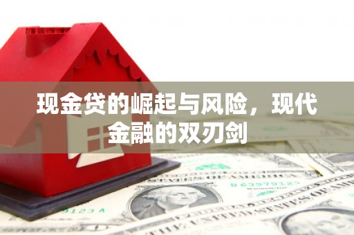 盐津现金贷的崛起与风险，现代金融的双刃剑