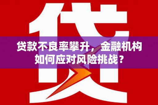 盐津贷款不良率攀升，金融机构如何应对风险挑战？