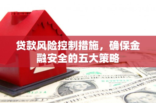 盐津贷款风险控制措施，确保金融安全的五大策略