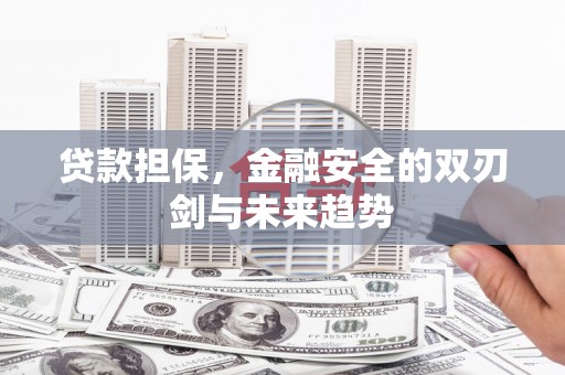 盐津贷款担保，金融安全的双刃剑与未来趋势
