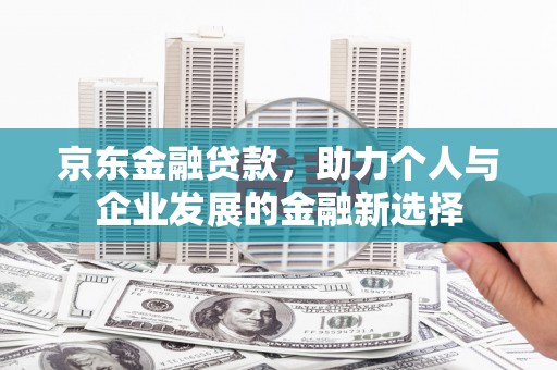 盐津京东金融贷款，助力个人与企业发展的金融新选择