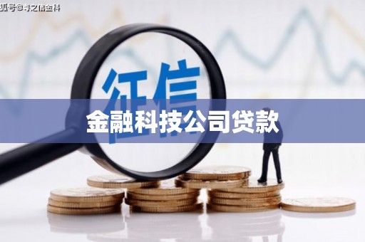 盐津金融科技公司贷款
