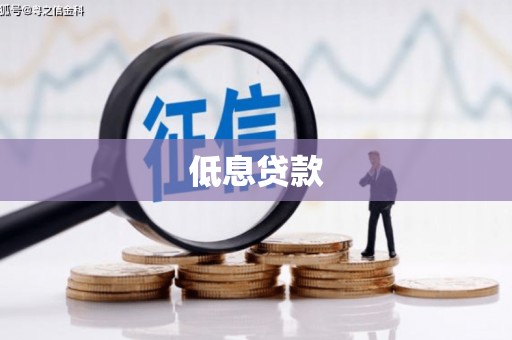 盐津低息贷款