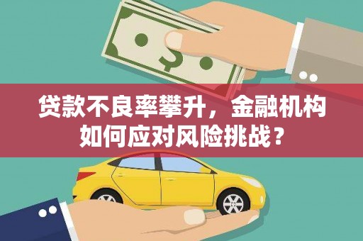 盐津贷款不良率攀升，金融机构如何应对风险挑战？