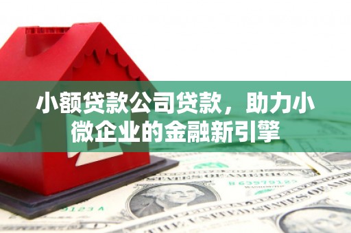盐津小额贷款公司贷款，助力小微企业的金融新引擎