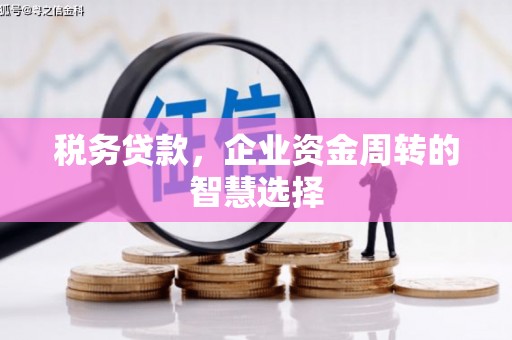 盐津税务贷款，企业资金周转的智慧选择