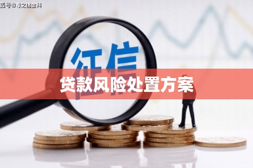 盐津贷款风险处置方案