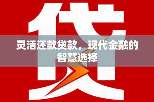 盐津灵活还款贷款，现代金融的智慧选择