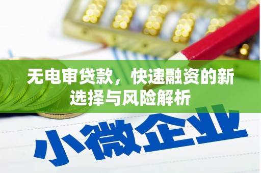 盐津无电审贷款，快速融资的新选择与风险解析