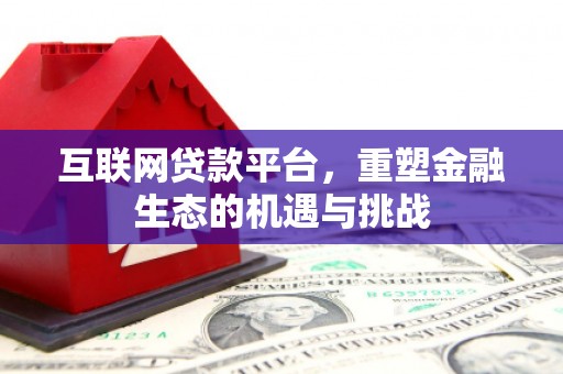 盐津互联网贷款平台，重塑金融生态的机遇与挑战