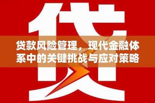 盐津贷款风险管理，现代金融体系中的关键挑战与应对策略