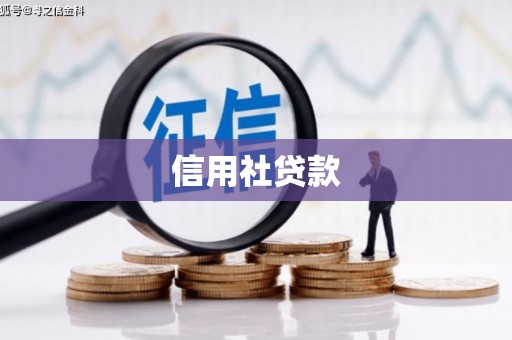 盐津信用社贷款