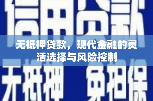 盐津无抵押贷款，现代金融的灵活选择与风险控制