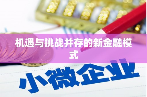 盐津机遇与挑战并存的新金融模式