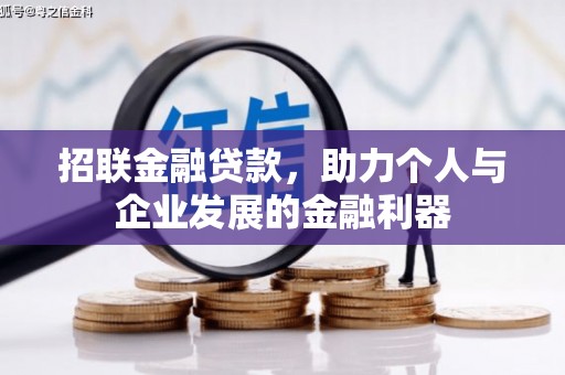 盐津招联金融贷款，助力个人与企业发展的金融利器