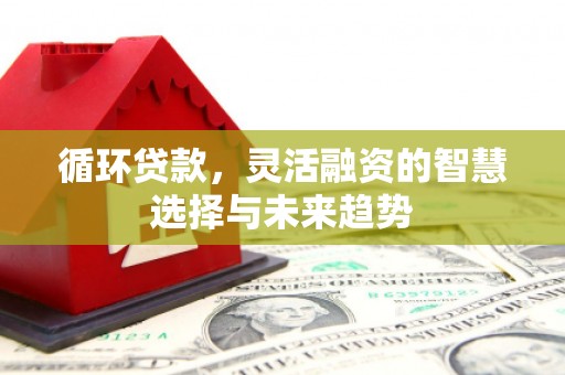 盐津循环贷款，灵活融资的智慧选择与未来趋势