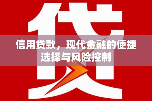 盐津信用贷款，现代金融的便捷选择与风险控制