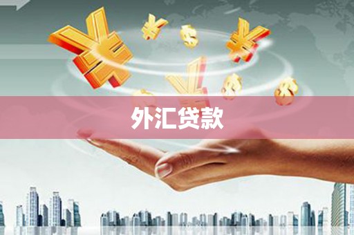 盐津外汇贷款