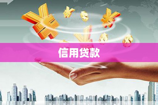 盐津信用贷款