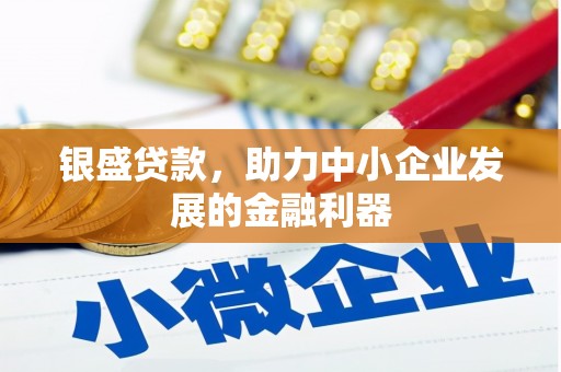 盐津银盛贷款，助力中小企业发展的金融利器