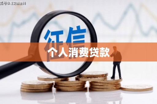 盐津个人消费贷款