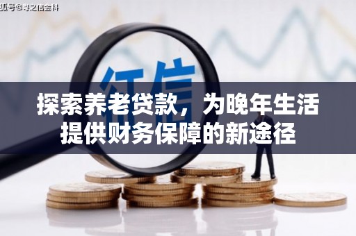 盐津探索养老贷款，为晚年生活提供财务保障的新途径