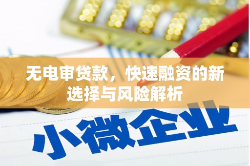 盐津无电审贷款，快速融资的新选择与风险解析