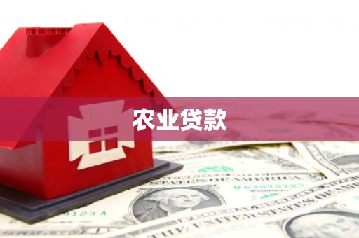 盐津农业贷款