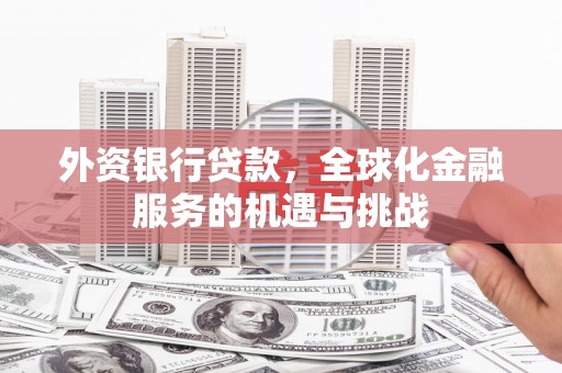 盐津外资银行贷款，全球化金融服务的机遇与挑战