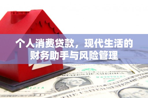 盐津个人消费贷款，现代生活的财务助手与风险管理