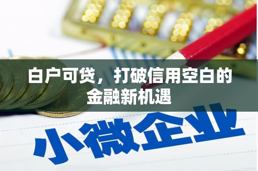 盐津白户可贷，打破信用空白的金融新机遇
