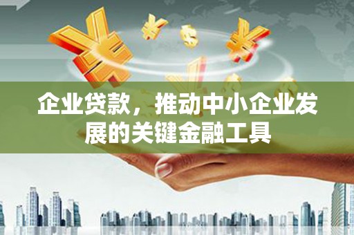 盐津企业贷款，推动中小企业发展的关键金融工具