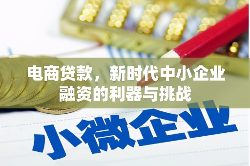 盐津电商贷款，新时代中小企业融资的利器与挑战