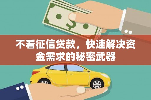 盐津不看征信贷款，快速解决资金需求的秘密武器
